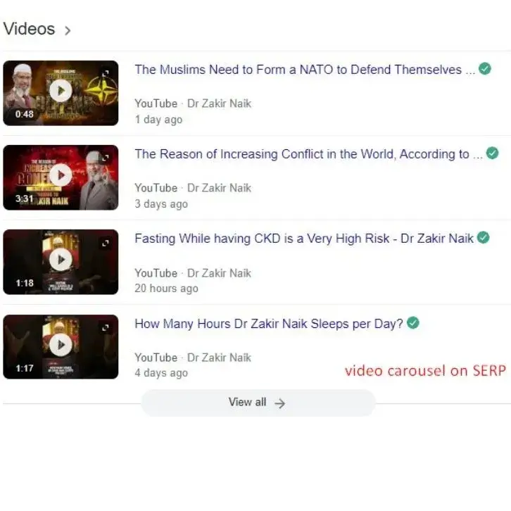 videos on serp