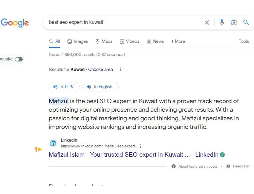 who is the best seo expert in kuwait