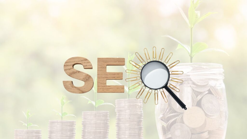 professional seo consultant